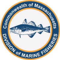 MA Division of Marine Fisheries(@MassDMF) 's Twitter Profile Photo