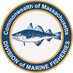 MA Division of Marine Fisheries (@MassDMF) Twitter profile photo