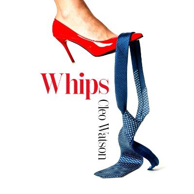 Writer of strictly fictional political satire. #Whips out now https://t.co/JLC55DKZrH #Cleavage coming soon...