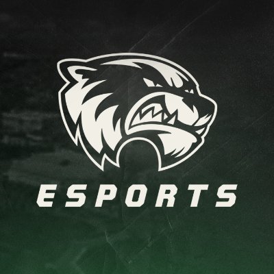 Utah Valley Esports