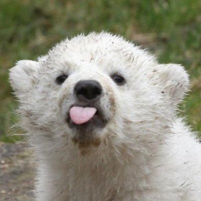 mikhawaroka's profile picture. Nobody move! I dropped my brain.