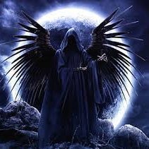 trippinkick's profile picture. https://t.co/4J2oXUxCJ1 https://t.co/zWfoX2fBiv