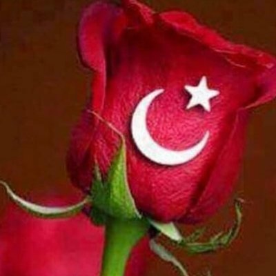 F Derya 1453 🇹🇷Vatan Sevgisi imandandır.🇹🇷