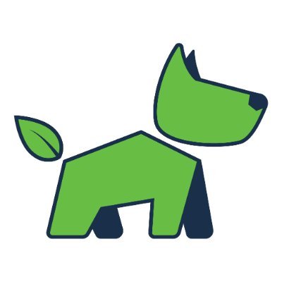 SpringBootBuddy's profile picture. 