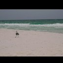 Renae Hampton - @RenaeHampton - Twitter