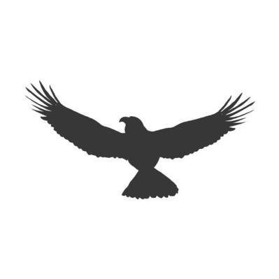 Freebird066's profile picture. US Army Veteran