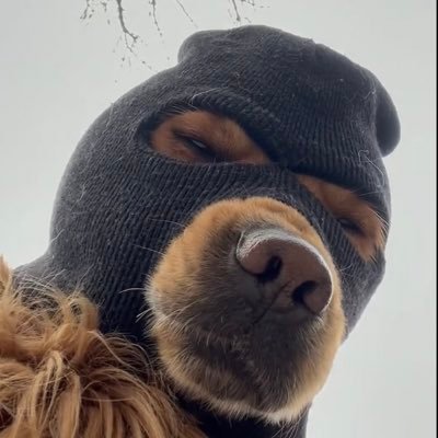 hijoy247's profile picture. 