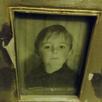 Damien Lane (@damienlanesun) 's Twitter Profile