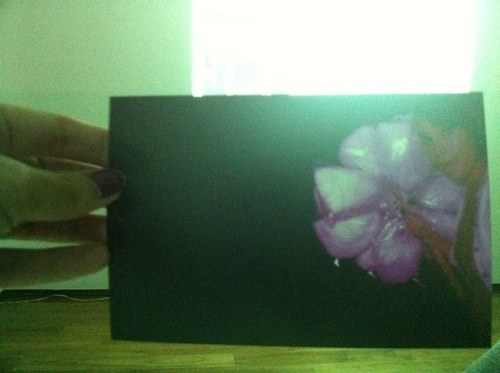 dentrparentesis's profile picture. gifs..análogo...cosas chiquitas...