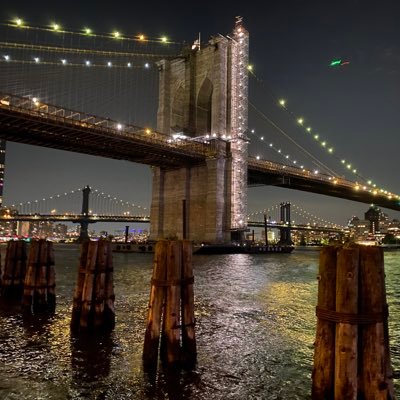 CleanUpFidiNYC's profile picture. New Yorker since 2008 financial crisis. I’ve seen a lot, but never anything this bad, unsafe and dirty!