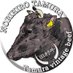 田村成泰🐃 (@tamuragyu) Twitter profile photo 田村成泰🐃 (@tamuragyu) Twitter profile photo