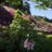 Charme_Music036