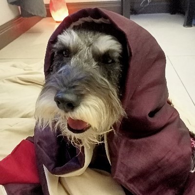 joekok81's profile picture. 