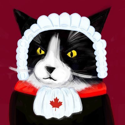 I write about court https://t.co/ZJovfx7RII