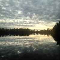 Sas Simko (@sas_simko) 's Twitter Profile