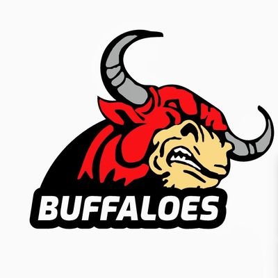 Our home ground is @Kyadondo_Rugby , 2014 National 7s Champions ❤️. Sponsored by @Toyota_Ug Est. 2001 #BuffaloSoldiers #HarderStrongerForLonger