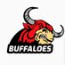 Buffaloes Rugby Club (@BuffaloesRFC) Twitter profile photo