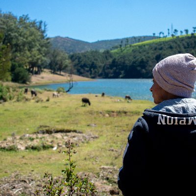 timberwolff_'s profile picture. 