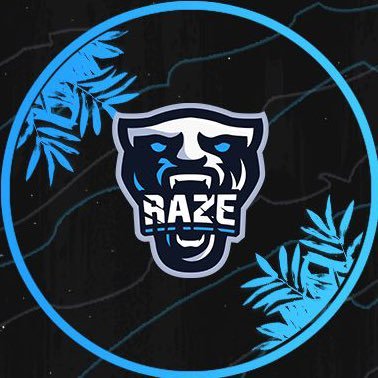 RaZe Esports Profile