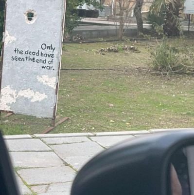 buchimesharck's profile picture. 