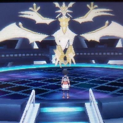 ZaidJub's profile picture. Que se vaya que me da miedo diría doña Lety tu patrona