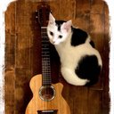 Yoko Matsuda - @YokoMatsudaUke - Twitter