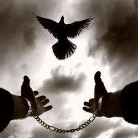 Faruk Avşar (@eytfaruk1) 's Twitter Profile
