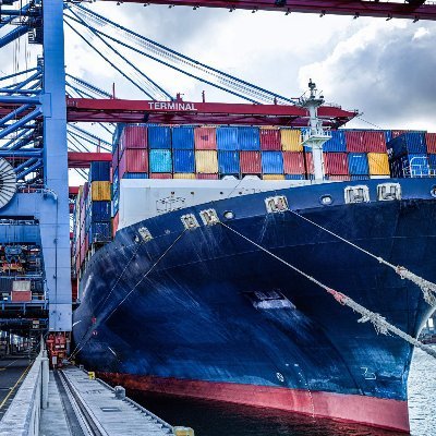 June51129's profile picture. International Logistics