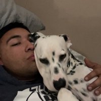 jerry (@jerry_v2118) 's Twitter Profile