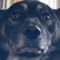 絶中 (@ak74ussr) 's Twitter Profile Photo