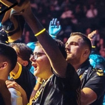 je fais partie de l’association @goldenhornets supporter @teamvitality champion major paris 2023 cs go 🥇🇫🇷🇫🇷 fan @t1 repose en paix twisten 🕊️