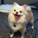 Daisy - @TheDaisyBlank - Twitter