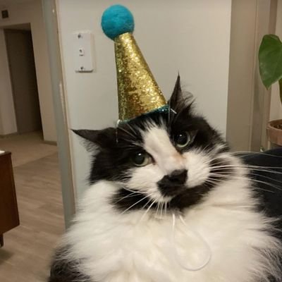 artemisglades's profile picture. 🏳️‍🌈✨