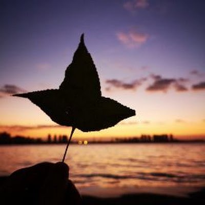 CC_Mr_NoBody's profile picture. 