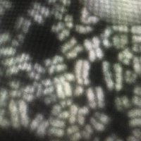 Samuel Corless (@sam_corless) 's Twitter Profile Photo