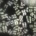 Samuel Corless (@sam_corless) Twitter profile photo Samuel Corless (@sam_corless) Twitter profile photo