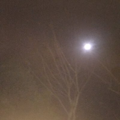 iamKNTH88's profile picture. Parallel Universe.