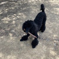 mia (@moyenmimi) 's Twitter Profile Photo mia (@moyenmimi) 's Twitter Profile Photo