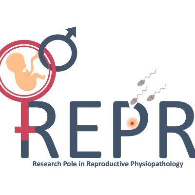 REPR is a research group focusing on male and female fertility preservation at @IREC_UCLouvain
OVA-TE (C. Amorim), ANDRO (C. Wyns) and OBST (F. Debiève)