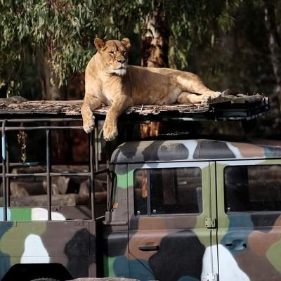 Gloria_Eugene1's profile picture. 