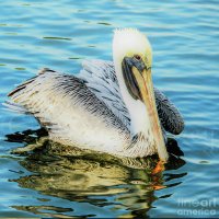 Joanne Carey Photography (@joannecarey64) 's Twitter Profile