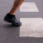 thaidailyphoto's profile picture. An interesting collection of Thailand photos.