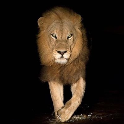 star_stroy's profile picture. 