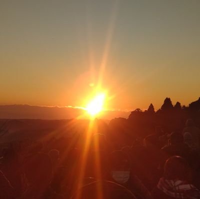 DEN1173110's profile picture. 