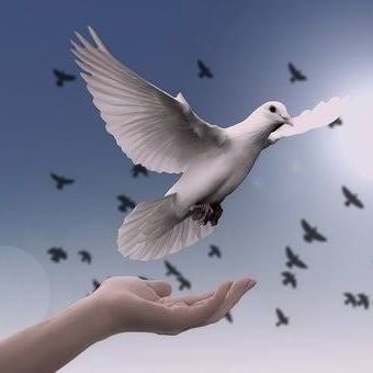 mightywarrior91's profile picture. Jesus saves.  #God'schild