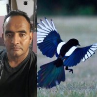 Carlos Gamez (@cgamezzav) 's Twitter Profile