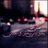 trok19821's profile image