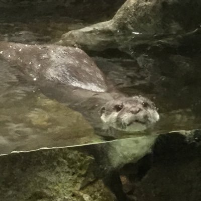 mamizu15's profile picture. 