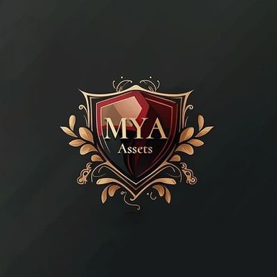The_MYA_Assets's profile picture. 