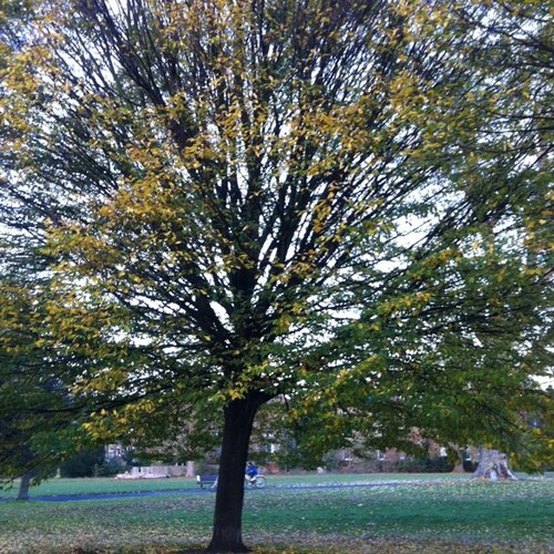 MyWinchesterUK's profile picture. A young family leaving the big smoke bringing thoughts, reviews & goings on to the community in and around Winchester, Hampshire.